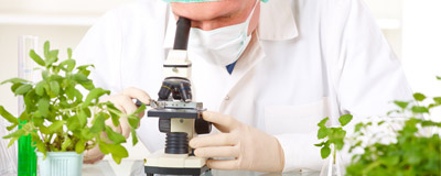 Grand Prix de la Science de l'Alimentation